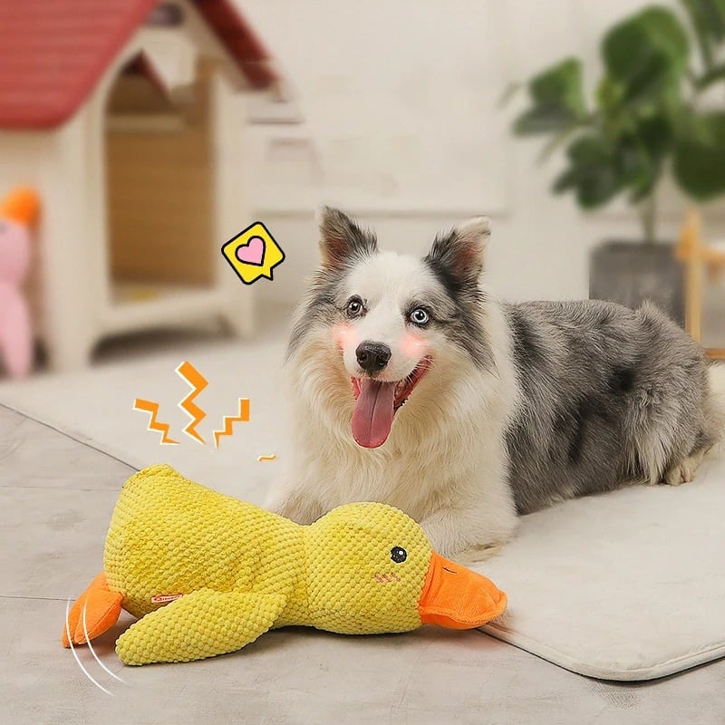 QuackPal – Plush Duck Toy for Dogs