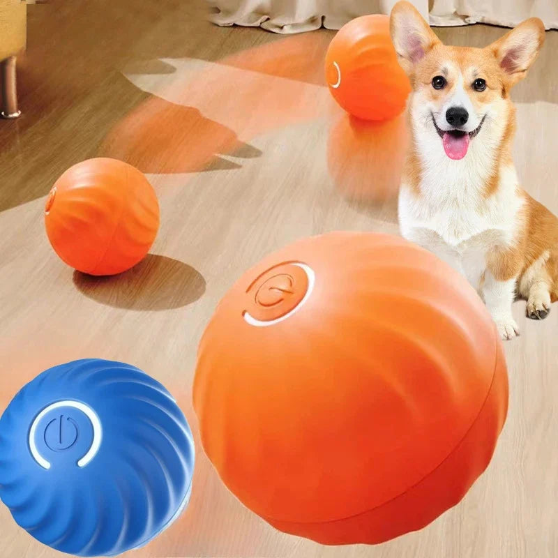 RolliPup – Motion-Activated Interactive Rolling Ball for Dogs